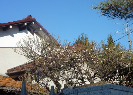 a0122931_1214952.jpg