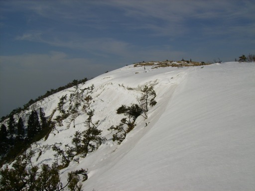 c0077338_65271.jpg