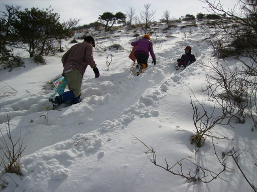 c0077338_66454.jpg