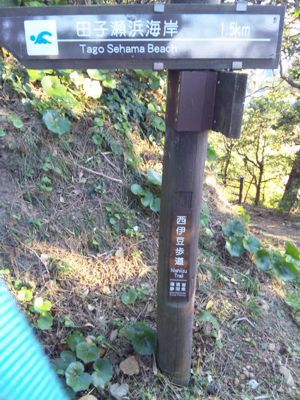 西伊豆旅行_a0126743_0441556.jpg