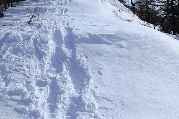 c0228945_621367.jpg