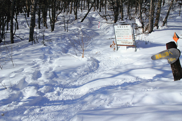 c0228945_661971.jpg