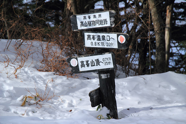 c0228945_7154127.jpg