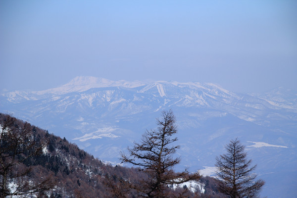 c0228945_8582491.jpg