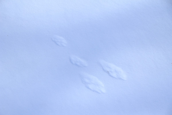 c0228945_859185.jpg
