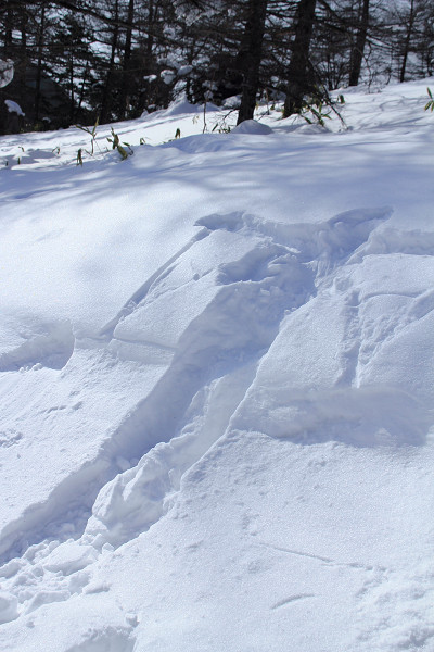 c0228945_8595364.jpg