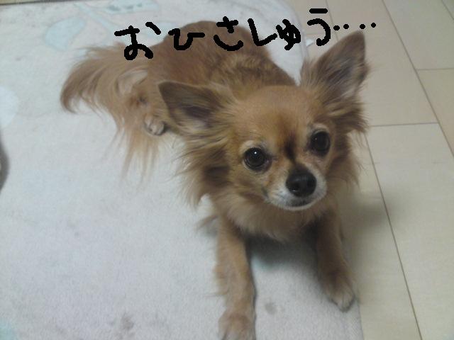b0199050_13593534.jpg