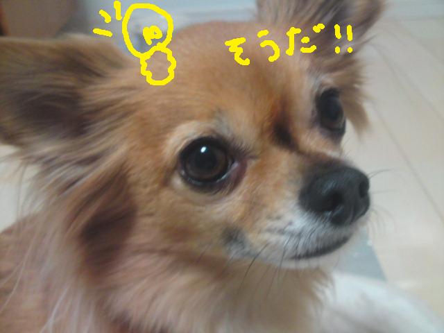 b0199050_1441693.jpg