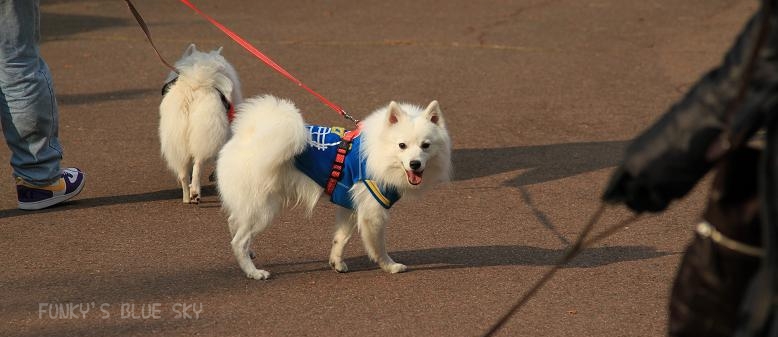 冬の公園を横切れば～♪　＾＾_c0145250_1556746.jpg