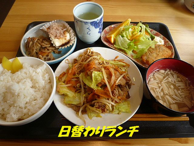 揖斐のワンコok カフェ　　森_a0130451_13583514.jpg