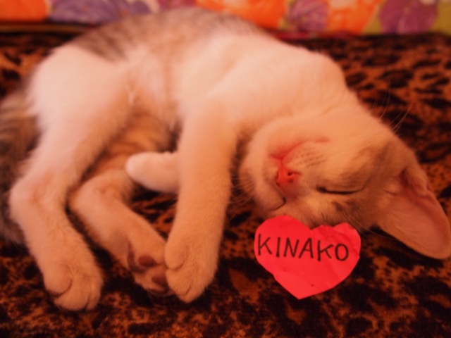 My name is KINAKO_e0219960_1375586.jpg