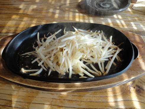 茨城プチお出かけその2 「かつ吉 野庵」」_f0054260_18483022.jpg