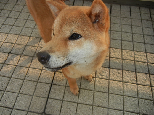 2月7日(月)深刻な容態!_f0060461_2147287.jpg