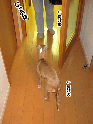 f0158862_15301670.gif