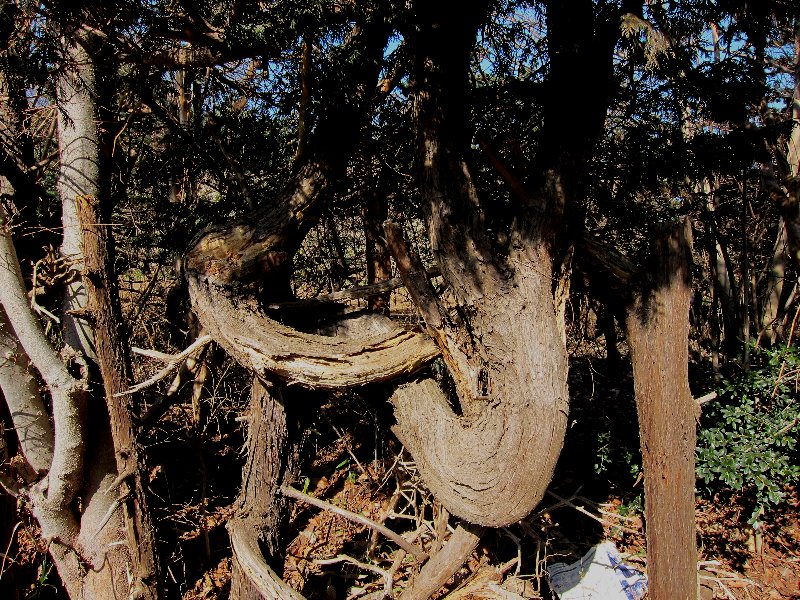 e0225465_993253.jpg