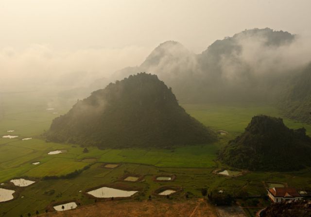c0139375_1458548.jpg