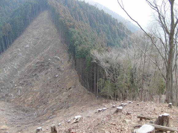 c0206177_8114515.jpg