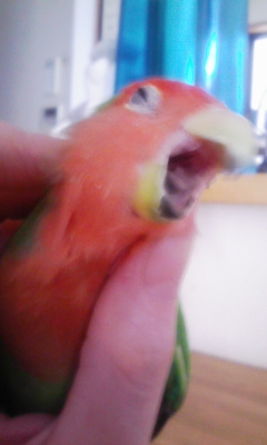ぎゃああああ~ッ!!_f0168392_20521638.jpg