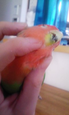 ぎゃああああ~ッ!!_f0168392_2102624.jpg