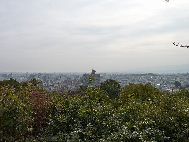 e0061694_47754.jpg