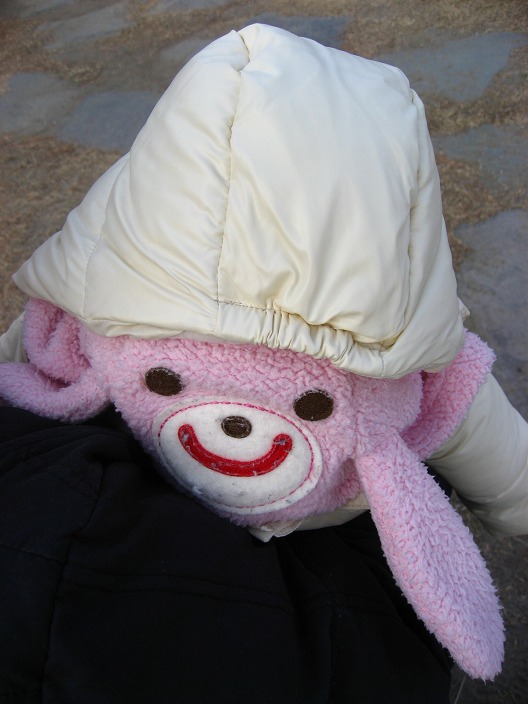 c0204298_1136245.jpg