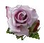 b0059000_1475580.jpg