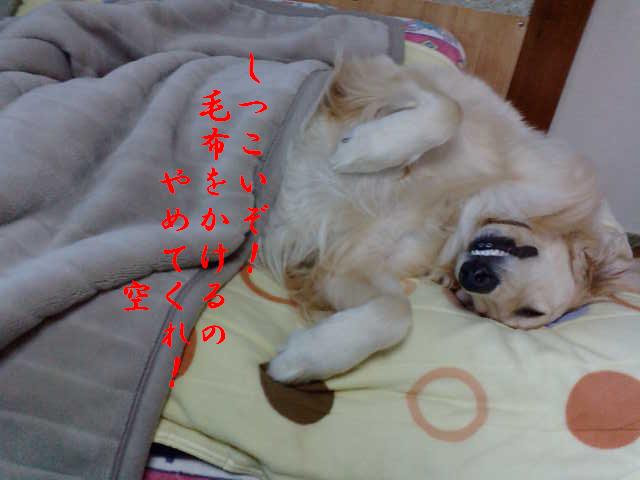 b0206300_1935139.jpg