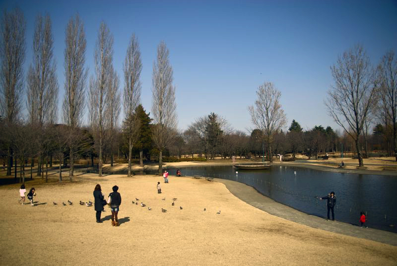 c0127403_10504556.jpg