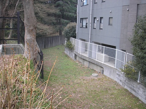 d0115409_22036.jpg