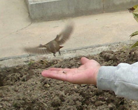 c0190010_20532953.jpg