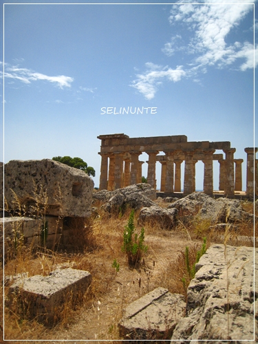 ギリシャ遺跡とたわむれる♪ 破壊されたギリシャ神殿「セリヌンテ」 _f0229410_2235772.jpg