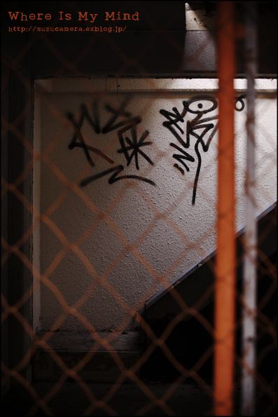 Where Is My Mind_f0100215_012885.jpg
