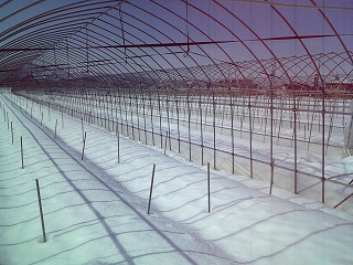 f0032130_1330545.jpg