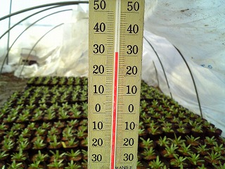f0032130_13455572.jpg