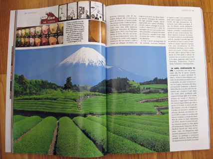 日本特集! 雑誌、『Meridiani』 2月号_f0234936_31241.jpg