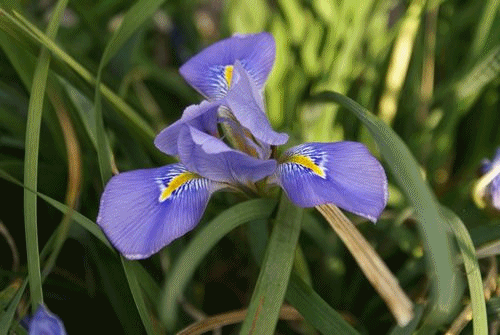 f0031546_19255191.gif