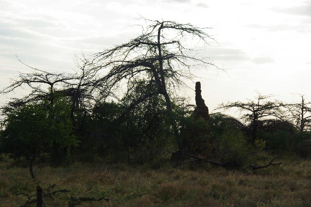 c0011649_10301092.jpg