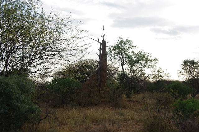 c0011649_10302851.jpg