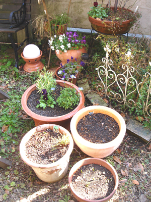 e0044855_1731284.jpg