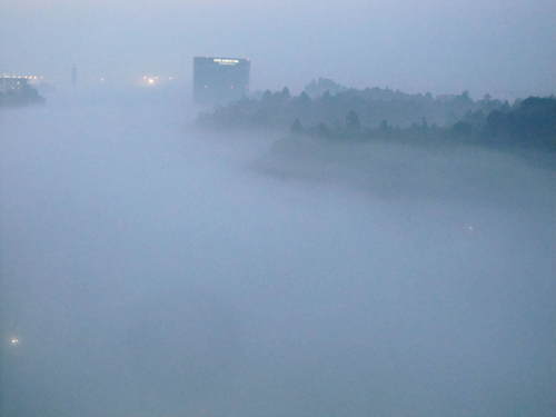 f0205855_01221.jpg