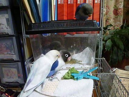 e0147757_01301.jpg