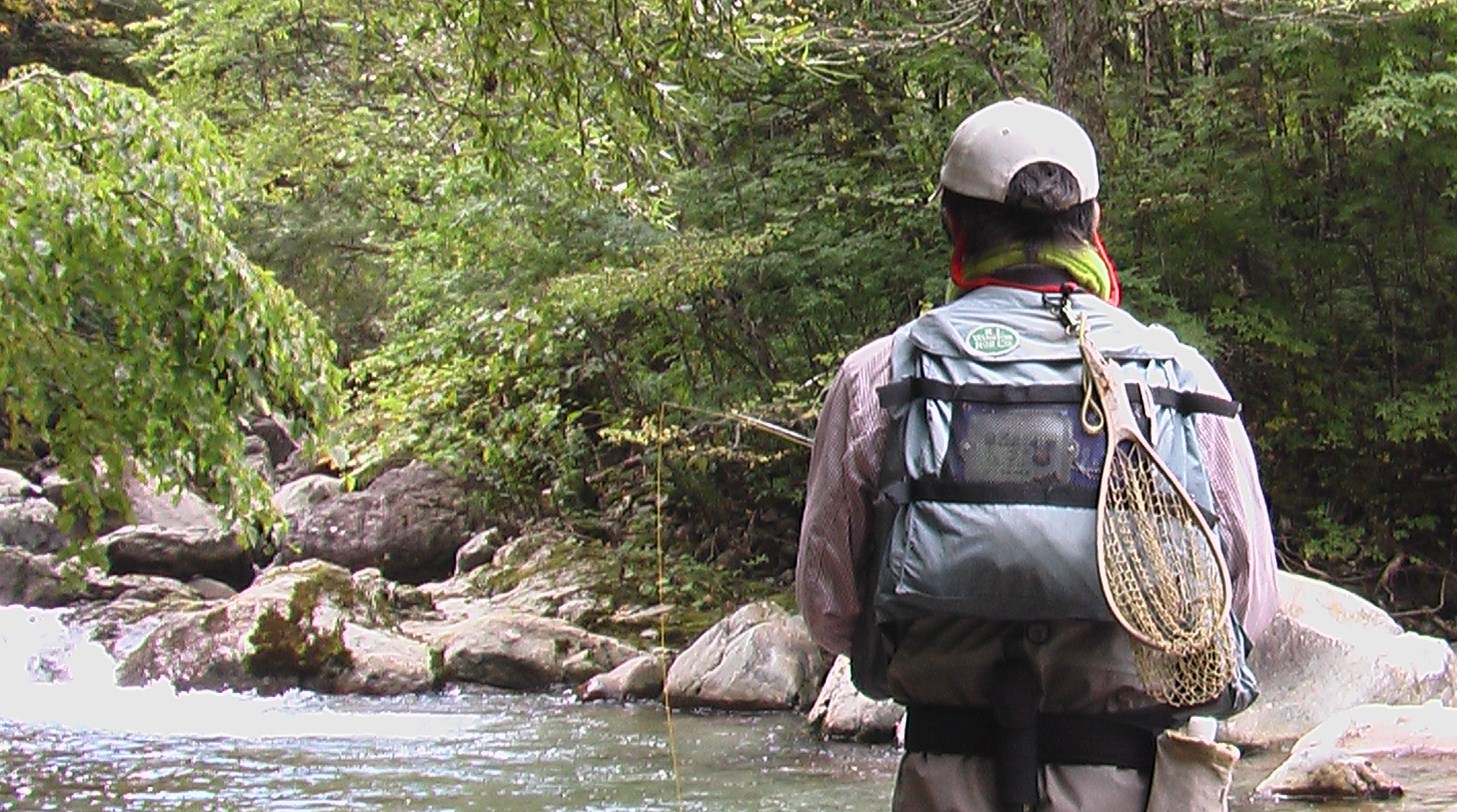 ハンド Or ネット 流れの向こうに