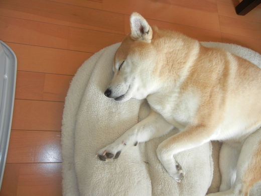 2月8日(火)今日の遼君は・・・?_f0060461_22251687.jpg