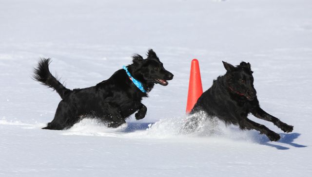 2011　雪遊び　ｉｎ　女神湖　_c0134862_835229.jpg