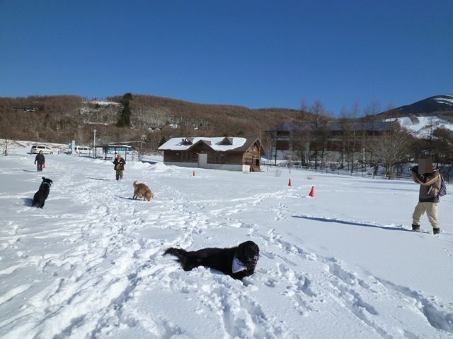 2011　雪遊び　ｉｎ　女神湖　_c0134862_8405635.jpg