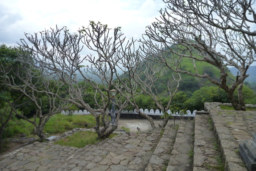 a0053063_23272769.jpg