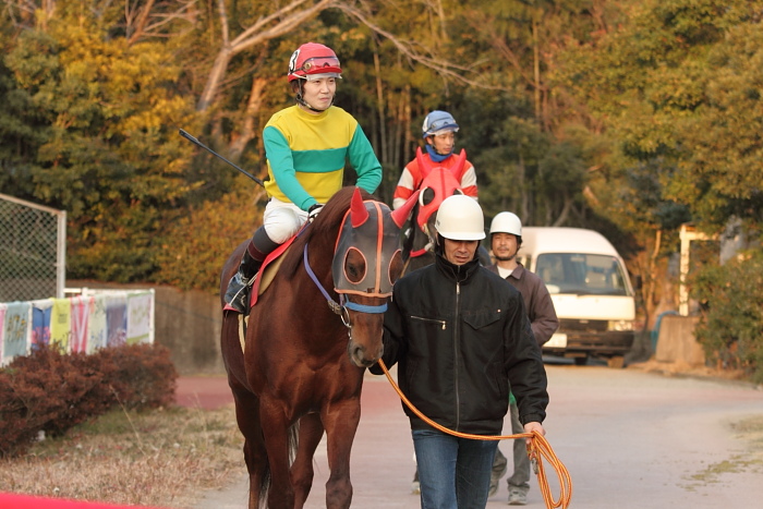 2011年2月5日(土) 高知競馬 4R C1ロC2イ_a0077663_923435.jpg