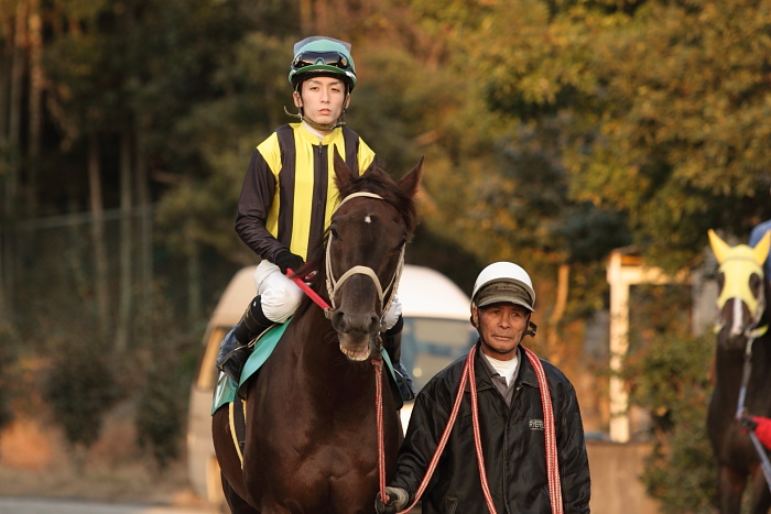 2011年2月5日(土) 高知競馬 4R C1ロC2イ_a0077663_924242.jpg