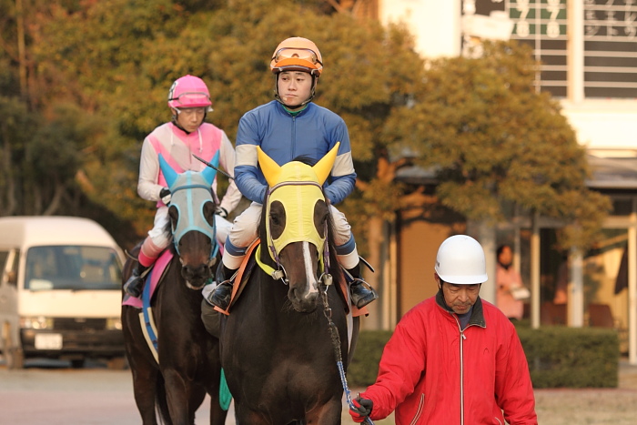 2011年2月5日(土) 高知競馬 4R C1ロC2イ_a0077663_925047.jpg
