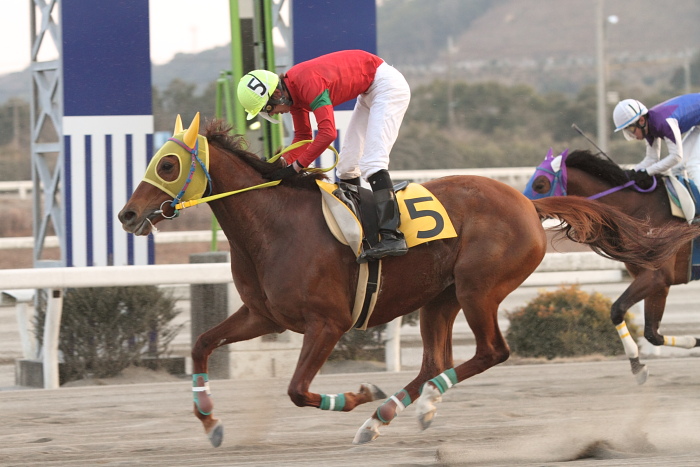 2011年2月5日(土) 高知競馬 4R C1ロC2イ_a0077663_94671.jpg